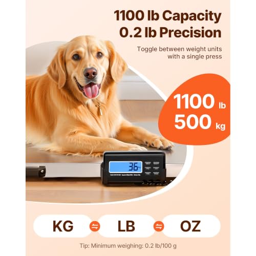 1100 lbs Capacity Digital Postal Scale Stainless Steel LCD 0.2 lbs