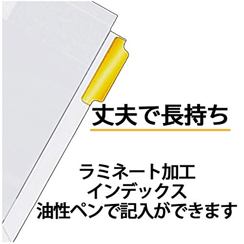 Maruman LT3012FX10 Index A4, Wide, 30 Holes (2 Holes) Index Sheet, 12 Teams, 5 Pairs, 10 Notebooks