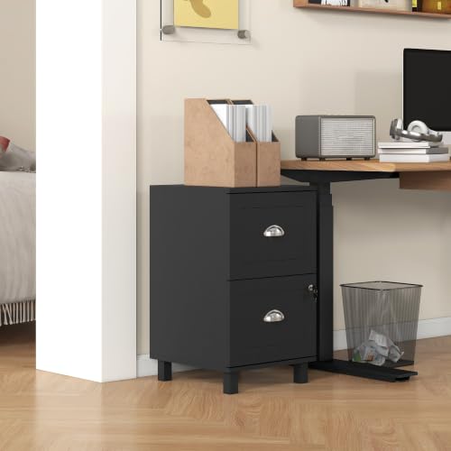 HOMCOM Vertical Filing Cabinet with 2 Drawers Lockable File Cabinet Black