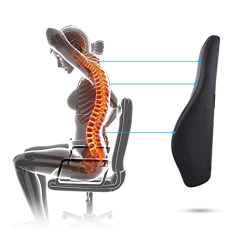 UIOLCFG Lumbar Support Pillow; Memory Foam Chair Cushion Supports Lower Back Accessories car Pillow Memory Foam