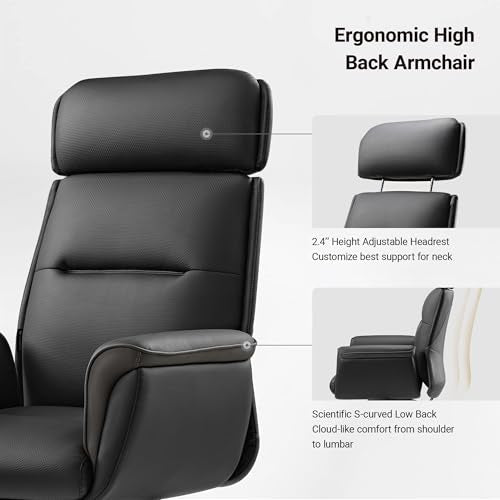 EUREKA ERGONOMIC Royal Ergonomic Office Chair Executive Desk Chair, Microfiber Leather High Back Executive Chair Comfy Ergonomic 360° Swivel with Lumbar for Home Workshop- Black