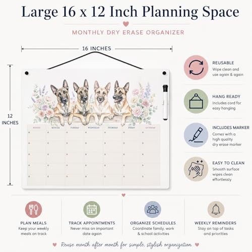 Caroline's Treasures Belgian Malinois Dry Erase Calendar Board, Reusable Monthly Wall Planner with Watercolor Artwork, Dry Erase Board for Home Office Kitchen Organization, 16x12