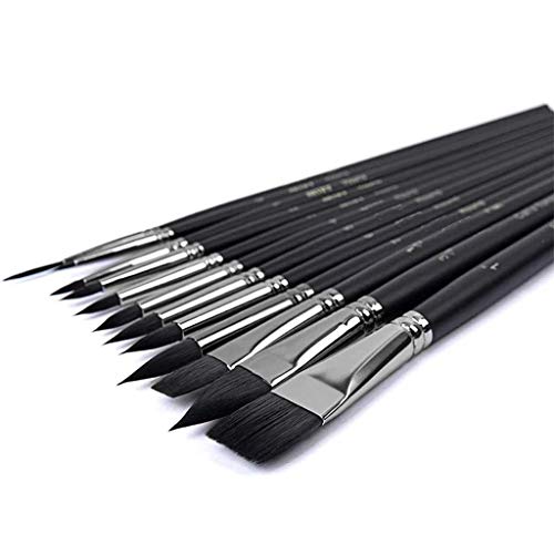saditesdk 12PCS Professional Watercolor Paint Brushes Set Artist Synthetic Fine Squirrel Brush Round Tip for Detail, Gouache, Acrylic, Oil