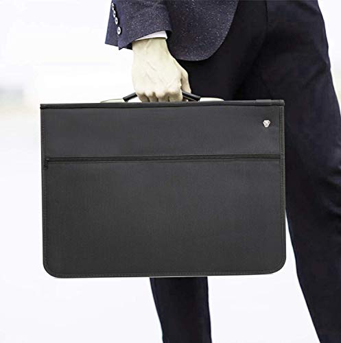 ARPAN Delux A3 Portfolio Presentation Ring Binder Art Storage Case + 10 A3 Clear Punched Pockets