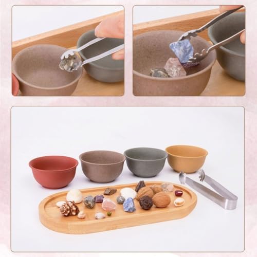 lstyty Montessori Natural Object Sorting Tray Set