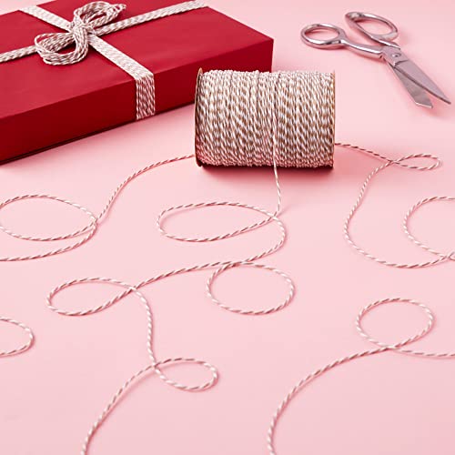 Celebrate It 100yd. Twine, 12 Pack