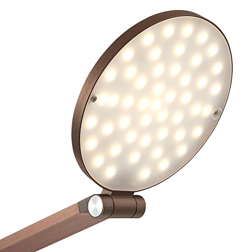 Magnum Adjustable Height French Bronze Task LED 61" Tall Floor Lamp