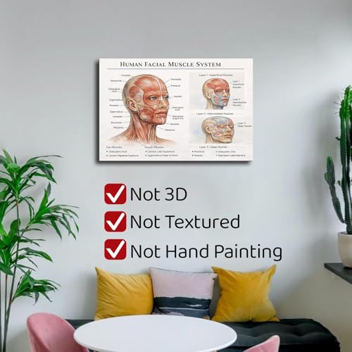 Facial Muscle Anatomy Chart Poster Human Face Muscle Diagram Medical Educational Wall Art for Clinic Classroom Massage Therapist Decor (Framed,16×24 inch)