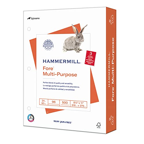 Hammermill Paper, Fore Multipurpose Paper, 8.5 x 11 Paper, Letter Size, 3 Hole, 24lb Paper, 96 Bright, 1 Ream / 500 Sheets (101287R) Acid Free Paper