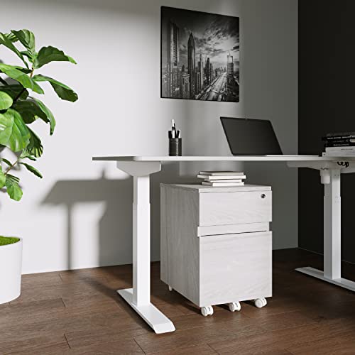 2‑Drawer Rolling File Cabinet with Lock, Under‑Desk Storage & Wheels, Grey