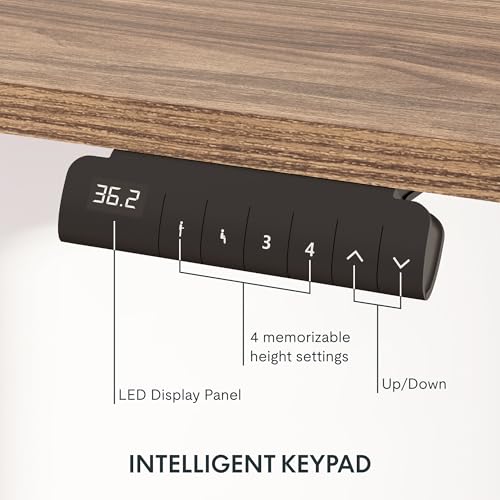 FLEXISPOT E6 3-Stage Dual Motor Electric Standing Desk 55 x 28 Sit Stand Up Desk, Holds 220 lbs, Adjustable Height w/Memory Presets, One-Piece Brown Wood Grain Desktop & White Frame, Ships in 2 Boxes