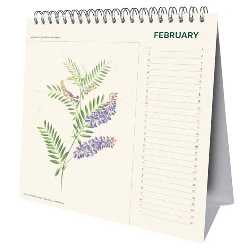 2025 Calendar RHS Month to View Nature Desk Easel Official Product