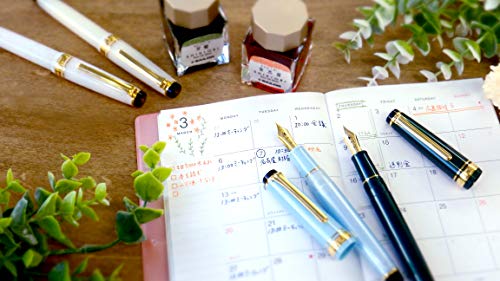 Sailor 11-1224-101 Fountain Pen, Four Seasons Weave, Snowmoon Sky Leaves, Spring Sky, Extra Fine