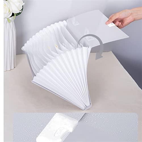 58GXCAAMOT Folder A4 Paper Folder 13 Grid Information Book School Office Business Storage Folder Transparent (Color : A Size