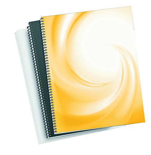 Fellowes ESP026 – Metallic Spirals for Binding, Step 5: 1 (59 Holes), 26 mm. 28 mm Metallic Silver