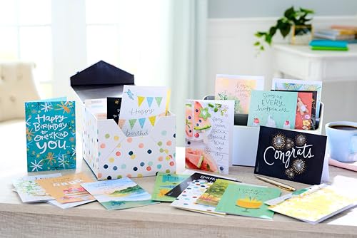 American Greetings 65-Count All-Occasion Greeting Card Pack, Assorted Watercolor & Playful Illustration Designs designed by Kathy Davis Studios