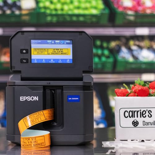 LABELWORKS Epson LW-Z5010PX Industrial Label Printer Kit - Desktop