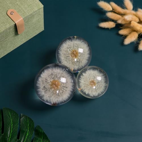 Paperweight Dandelion Dream Ball. Crystal Wishing Ball. Unique Paperweight Made of Dandelion. Gift for Women Men (Mom, Dad, Teacher), Birthday, Wedding, Valentine's Mother's. (9CM)