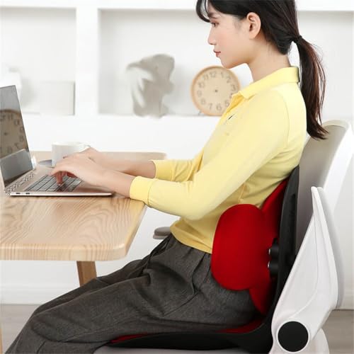 BUXGWLCH Sitting Posture Corrector Cushion Sedentary Waist Protection Lumbar Engineering Back Orthopedic