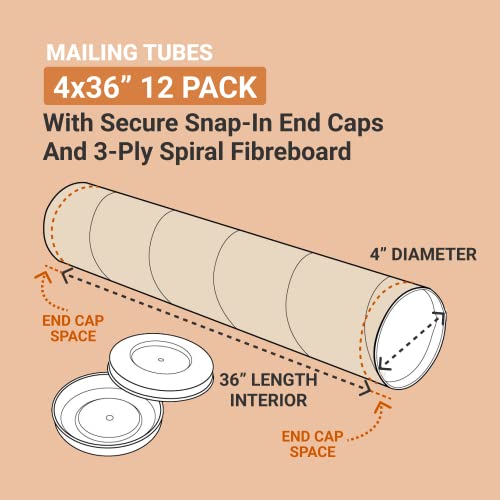 Box USA Shipping Tubes 4"L x 36"W, 12-Pack | Heavy Duty Cardboard Mailing Tube for Packing, Shipping and Mailing 436