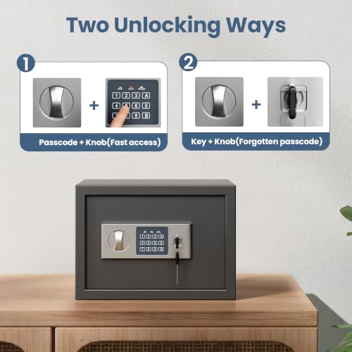 Locksworth Safe 0.6 Cubic Feet Small Safe with Electronic Keypad & Keys, Digital Security Safe Box for Home, Dorm and Business Use, Money, Guns, Valuables and Documents, 13.8"W x 9.8"D x 9.8"H