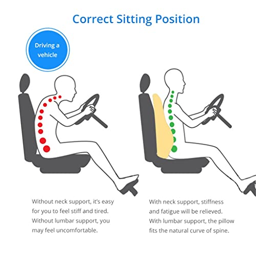 UIOLCFG Lumbar Support Pillow; Memory Foam Chair Cushion Supports Lower Back Accessories car Pillow Memory Foam