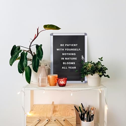 EVERSUPPLY 38x28 in Enclosed Letter Board, Black Felt Display Case