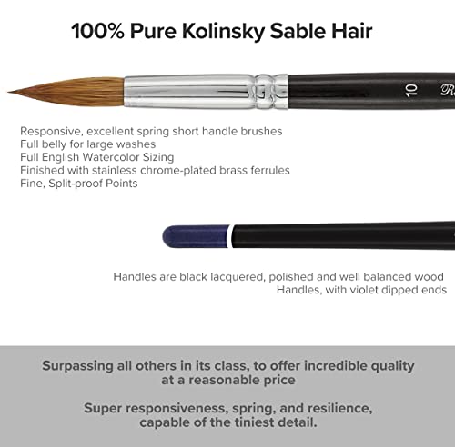 Creative Mark Rhapsody Kolinsky Sable Brushes for Professional Watercolorists - Round # 8 Excellent Spring, Full Belly, Split-Proof Points, Chrome Ferrules, Short Handle, English Sizing