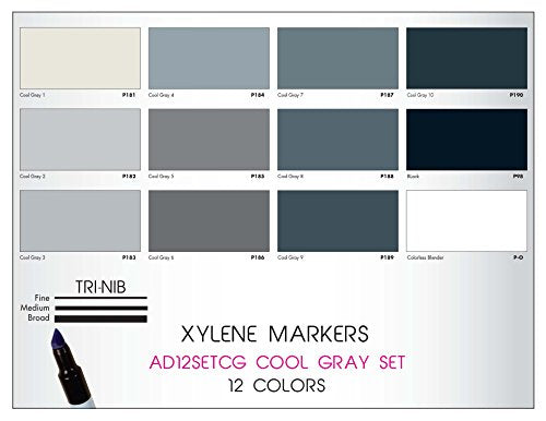 The Original Chartpak AD Markers, Tri-Nib, 12 Assorted Cool Grey Colors in Plastic Carrying Case, 1 Each (AD12SETCG)