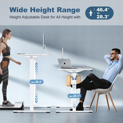 DUMOS 48 Inch Electric Standing Desk, Memory Adjustable Home Office Desk