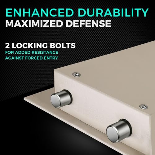 Flexzion Key Box Wall Mount with Code, Key Cabinet, Key Deposit Slot, 40 Key Holder Organizer Locker Case, Colored Key Tags Wall Mounted Lock Box for Keys Storage (Gray)