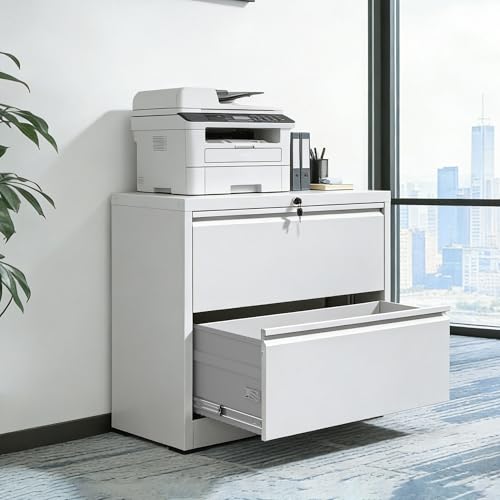 ZRongartlab 2 Drawer File Cabinet with Lock, lateral File cabinets