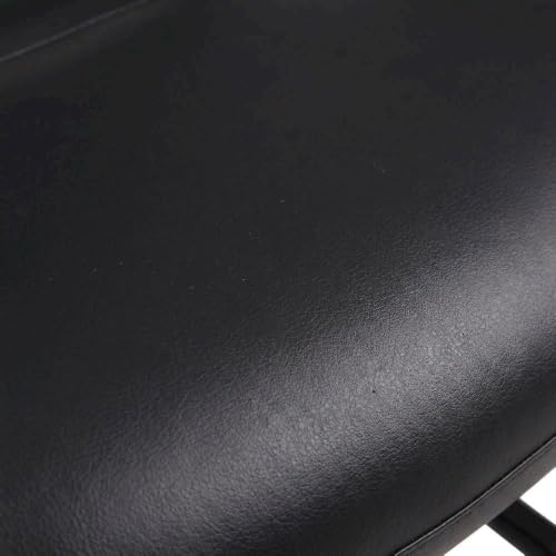 Starlight Canyon Home LeatherPlus Side Chair with Arms, Sled Base Office Guest Chair for Reception, Conference Room