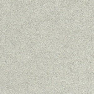 Satoshi Paper 3.1 oz (81.4 g) / Square Meter (0.12 mm) A4 Size: 1000 Sheets