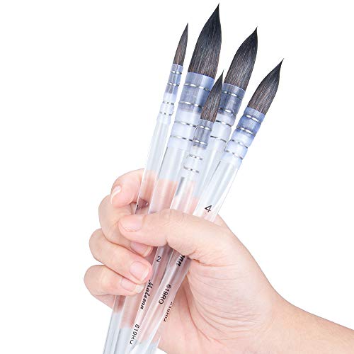 Hosmide 5 Size Watercolor Round Paintbrushes with Bag,Acrylic Handle,Squirrel Hair Paint Brush Set for Art Painting, Gouache, Wash/Mop, Artist Quality Supplies