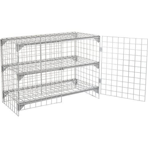 Global Industrial Commercial 1-Tier 2 Door Wire Mesh Security Locker, Gray