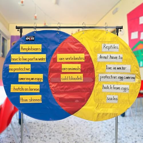 School Smart Venn Diagram Pocket Chart with 3 Circles, 23 Pockets, 35-1/2 x 54 Inches