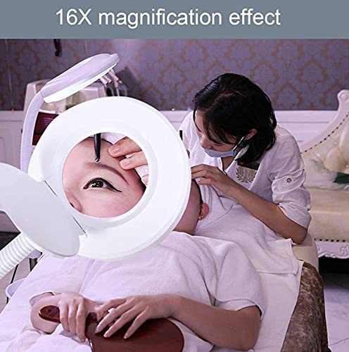 DFEDHF Magnifying Floor Lamp, Glass Adjustable Stable Rolling Floor Standing Magnifier Light, 16X Magnifier Rolling Wheels Cold Light for Salon Facial and Home