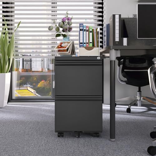 Hassyee Office Storage Cabinet, 2 Drawers File Cabinet with Lock Metal Vertical File Cabient with Wheels Mobile File Cabinet for Office Home Legal/Letter/a4 Size (2 Drawer Black)