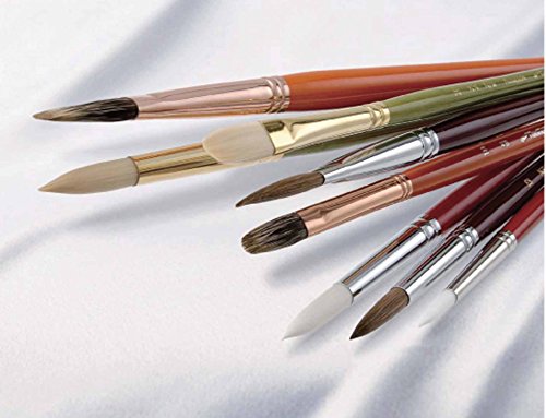 Namurataiseidou Oil Painting Brush Fan Pig No. 4