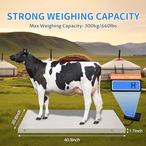 mignonnememe 660lbs Livestock Scale Shipping Scales Large Platform 40.7" x 20.86" Stainless Steel Vet Animal Scale Electronic Postal Shipping Scale for Packages/Dog/Postage/Luggage, Silver
