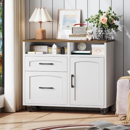 RALGEND Lateral File Cabinet 2 Drawers, Filing Cabinets for Home Office