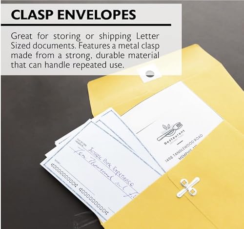 12 Pack, Clasp Envelope 6" X 9" (5/Pack)