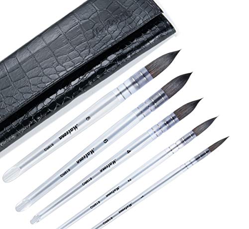 Hosmide 5 Size Watercolor Round Paintbrushes with Bag,Acrylic Handle,Squirrel Hair Paint Brush Set for Art Painting, Gouache, Wash/Mop, Artist Quality Supplies