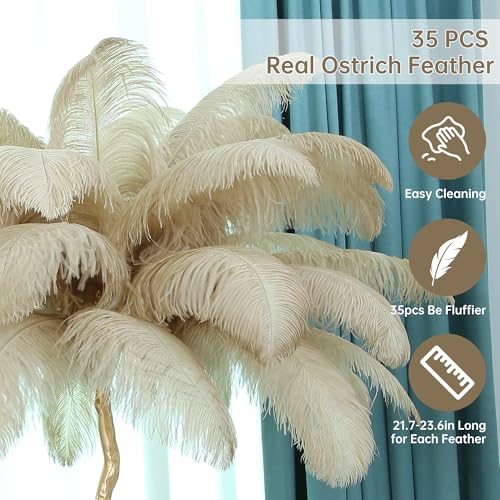 MAYOLA Luxury Resin Ostrich Feather Lamp, 35 Pieces Real Ostrich Feathers,Floor Lamp for Living Room, Bedroom and Office 67” Tall Feather Lamp(Ostrich Color, Floor Lamp)