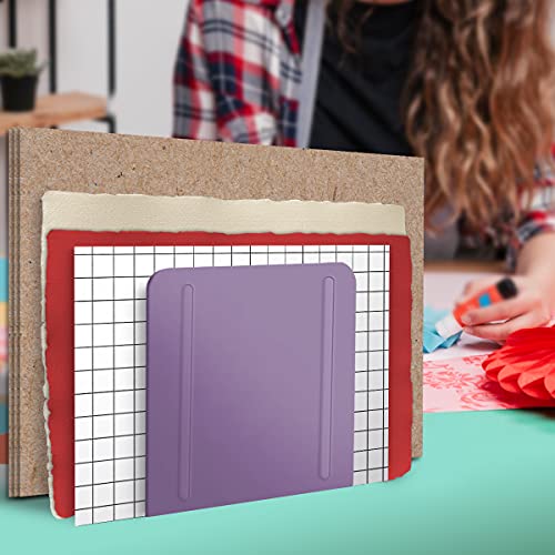 Acrimet 4-Section File Sorter Vertical, Metal Desktop Organizer, Purple
