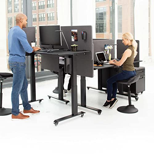 Stand Up Desk Store ReFocus Clamp-on Acoustic Desk Divider Privacy Panel that Reduces Noise and Visual Distractions (Ash Gray, 59" x 23.6")