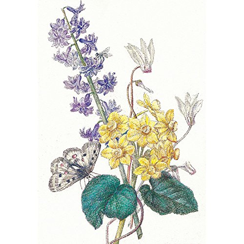 Sakura Craypas FY30NU Coupy Colored Pencils, 30 Colors, Color On Color