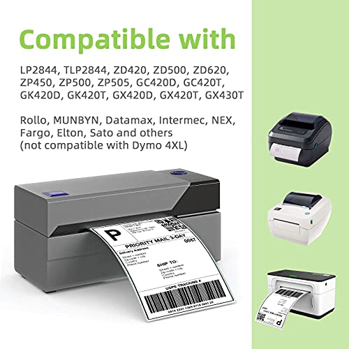 Anylabel 2" x 1" Direct Thermal Label, Paper for Barcodes Postage Address Perforated & Compatible with Rollo, Zebra, Munbyn, Nelko Printers(12 Rolls, 1300 Labels/Roll)