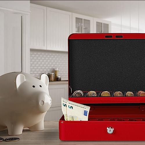 Relaxdays Cash Box, Coin Counter Tray Lockable Portable Change & Notes, H x